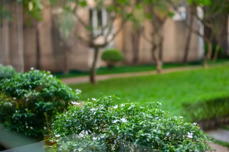 Greens & Outdoors at OBEROI THREE SIXTY NORTH, Sector 58, Gurgaon