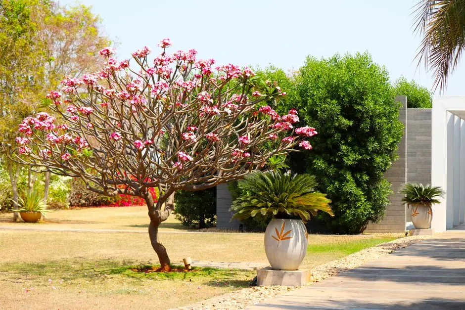 Greens & Outdoors at OBEROI BANDRA EAST, Mumbai