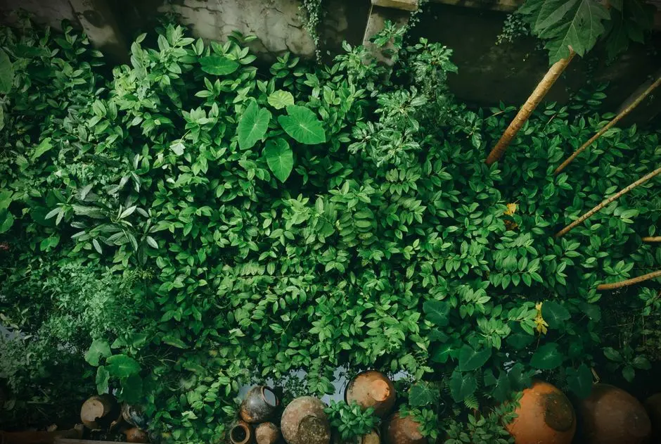 Greens & Outdoors at OBEROI SECTOR 69, Gurgaon