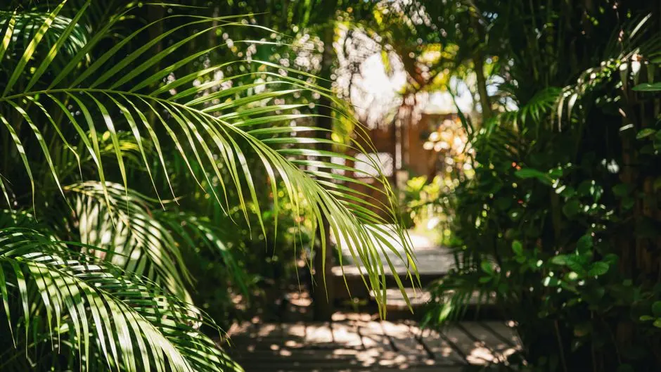 Greens & Outdoors at OBEROI ANDHERI WEST, Mumbai