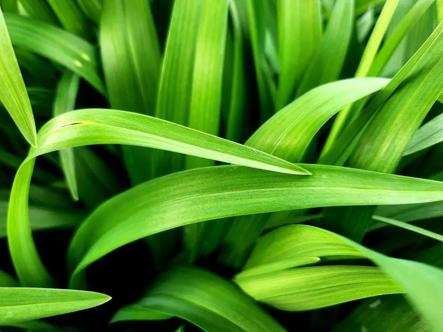 Greens & Outdoors at OBEROI SKY HEIGHTS, Lokhandwala Complex, Mumbai