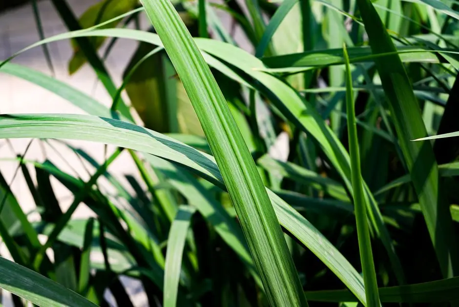 Greens & Outdoors at OBEROI MULUND WEST, Mumbai