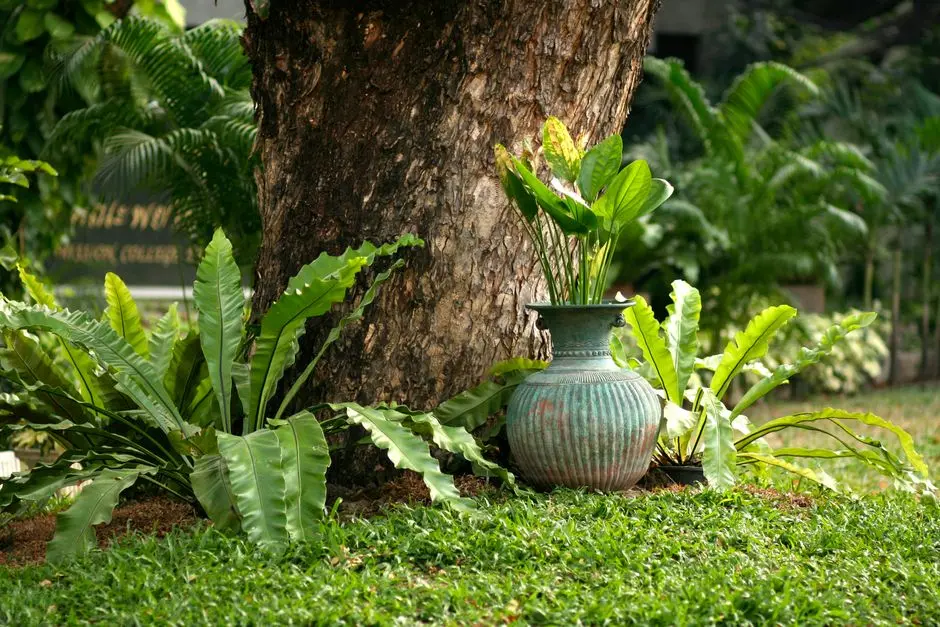Greens & Outdoors at OBEROI THANISANDRA-KOGILU, Bangalore