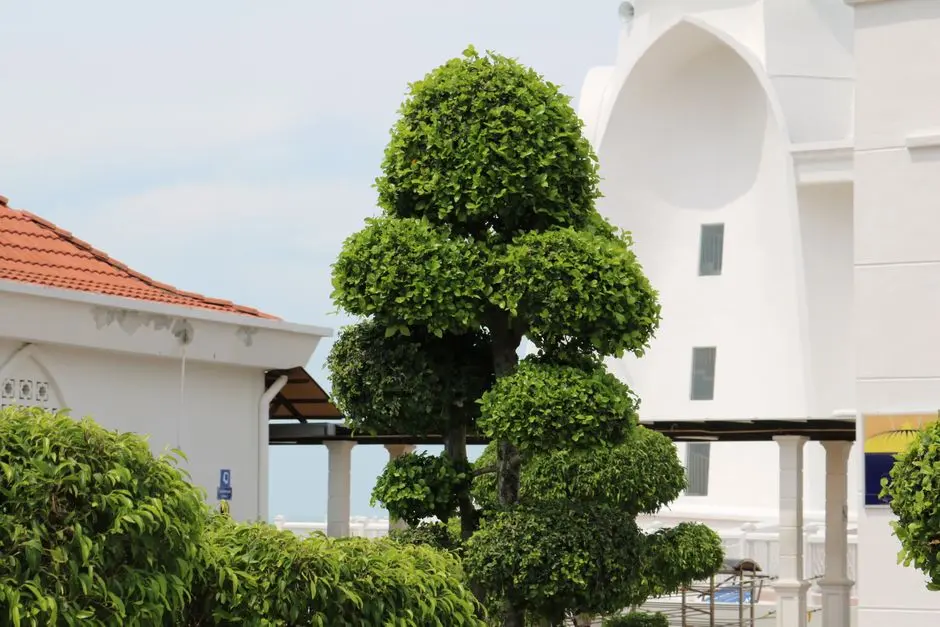 Greens & Outdoors at OBEROI JUHU MUMBAI, Mumbai